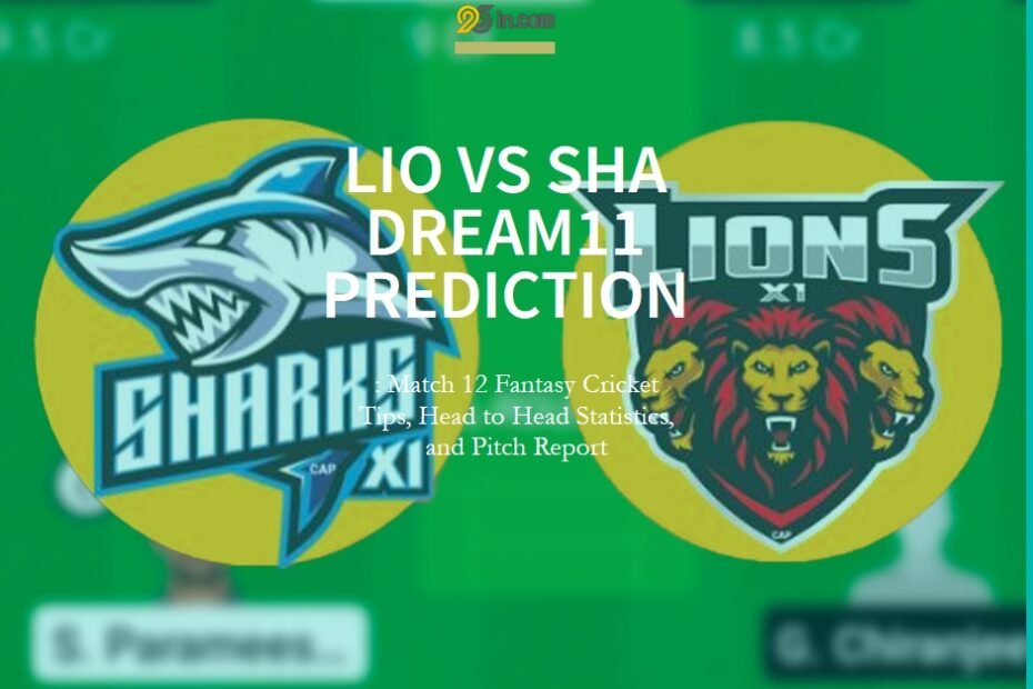 Lions XI vs Sharks XI (LIO vs SHA) Dream11 Prediction: Match 12 Fantasy Cricket Tips, Head to Head Statistics, and Pitch Report